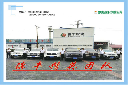德豐精英團(tuán)隊